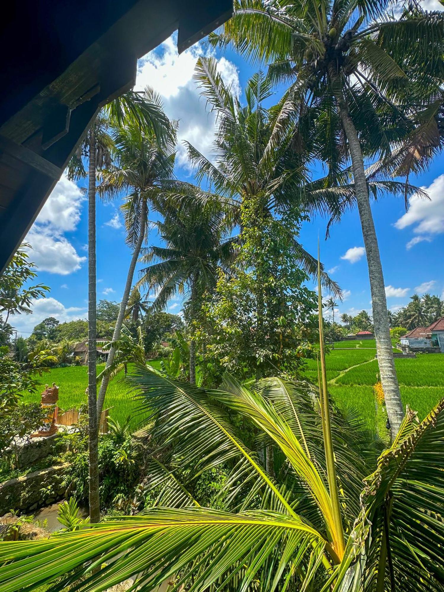 Nunu Bali Eco Friendly Retreat Hotell Canggu Eksteriør bilde