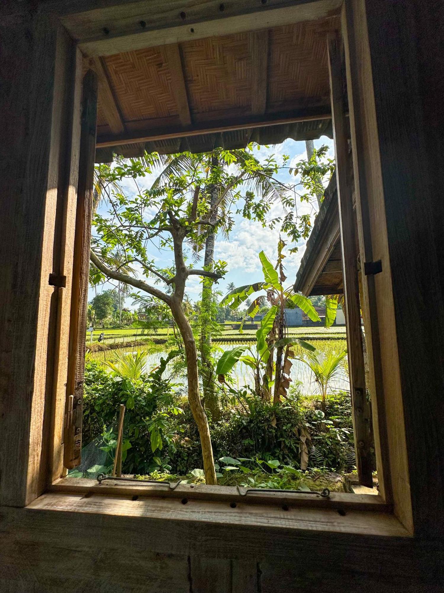 Nunu Bali Eco Friendly Retreat Hotell Canggu Eksteriør bilde